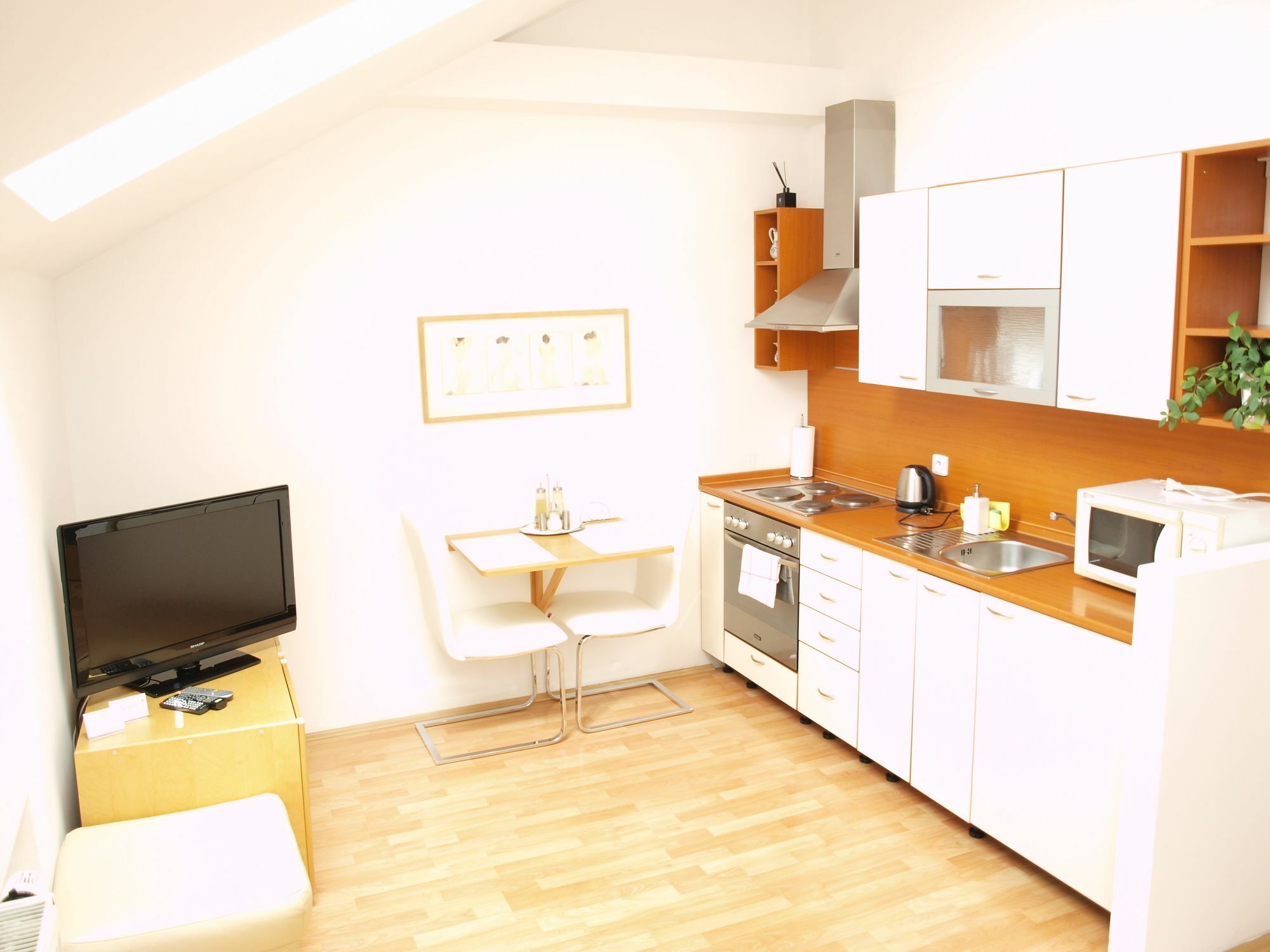 Appartamento Center Praga